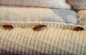 14-03-2016_00·30·37