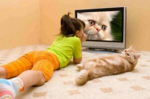 06-10-2016_23%c2%b759%c2%b758